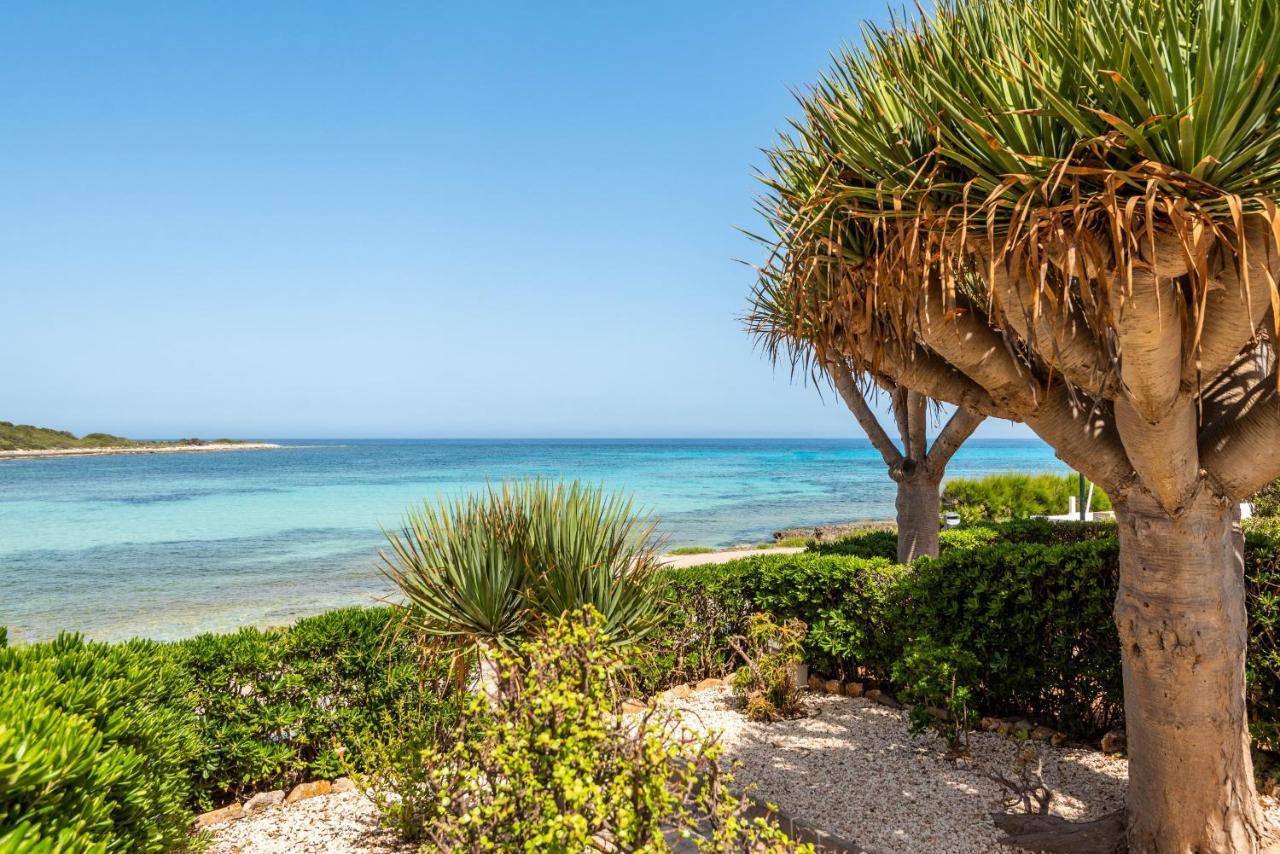 Bellamirada - Punta Prima Playa Leilighet Eksteriør bilde